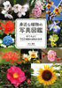 身近な植物の写真図鑑 見てみよう963種類の植物の世界(村上 雅彦)【せせらぎ出版】